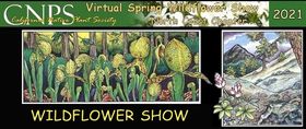 wildflower show 95038 cover 280w